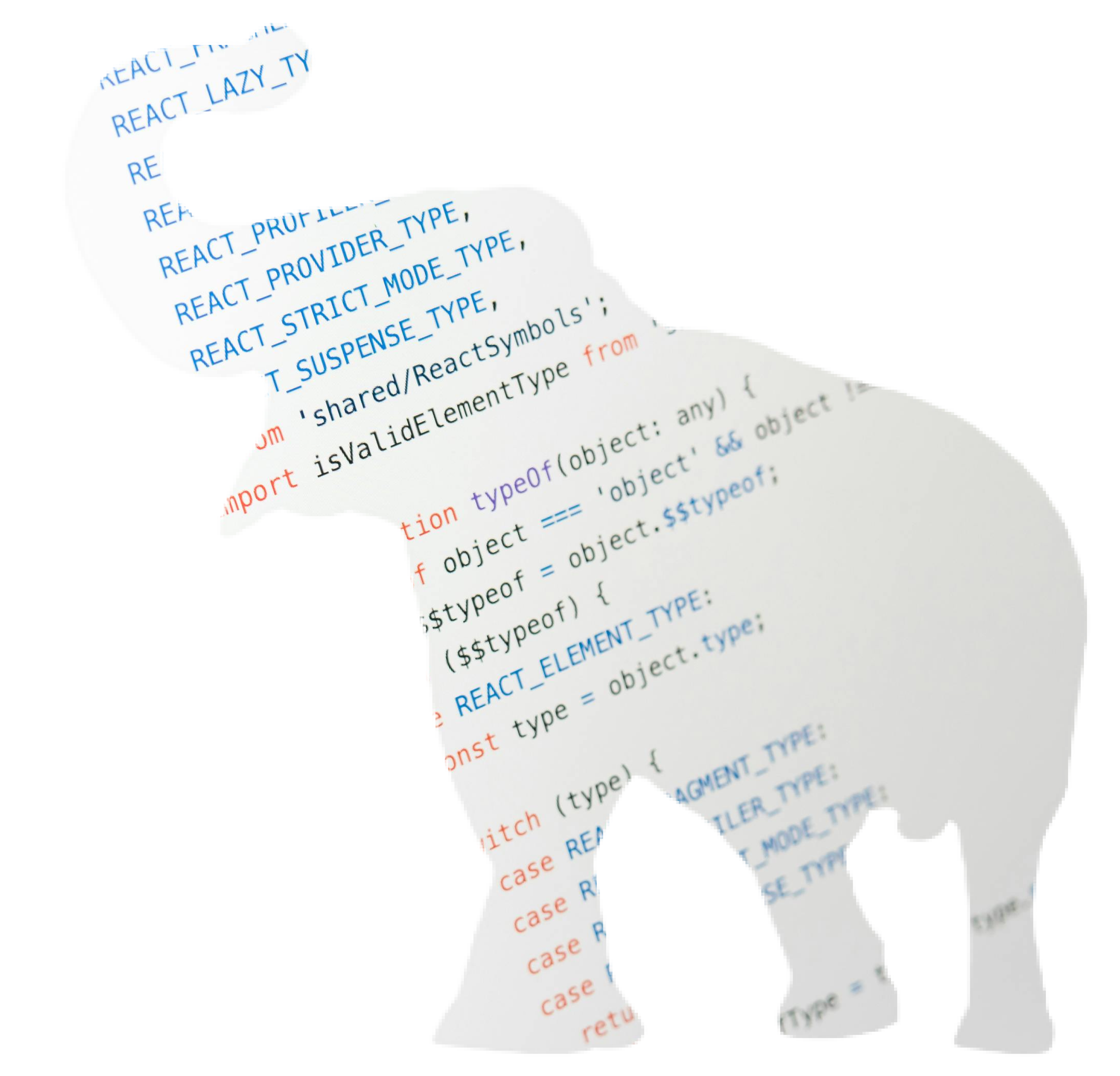 Congo Basin Forest Canopy